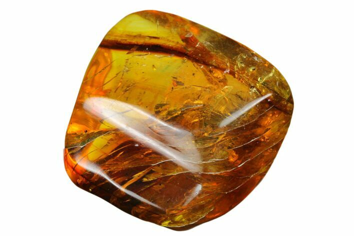 Polished Chiapas Amber ( g) - Mexico #180418